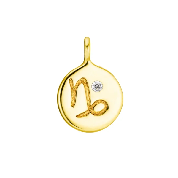Coin med zodiac tegn i 18 Karat Guld
